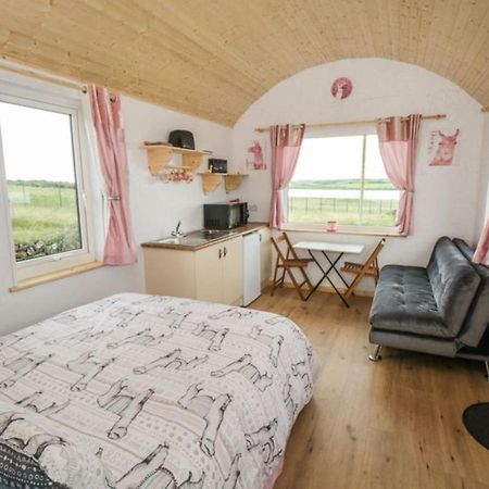 The Beautiful Lazy Llama Shepherd Hut Farm Stay Ballyshannon Buitenkant foto