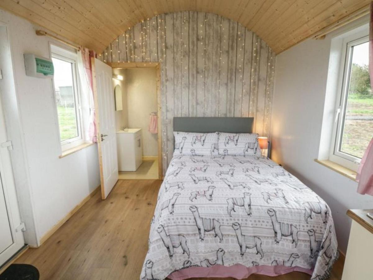 The Beautiful Lazy Llama Shepherd Hut Farm Stay Ballyshannon Buitenkant foto