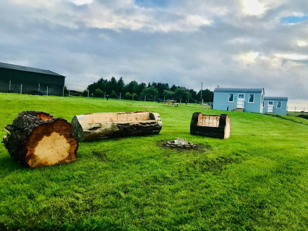 The Beautiful Lazy Llama Shepherd Hut Farm Stay Ballyshannon Buitenkant foto