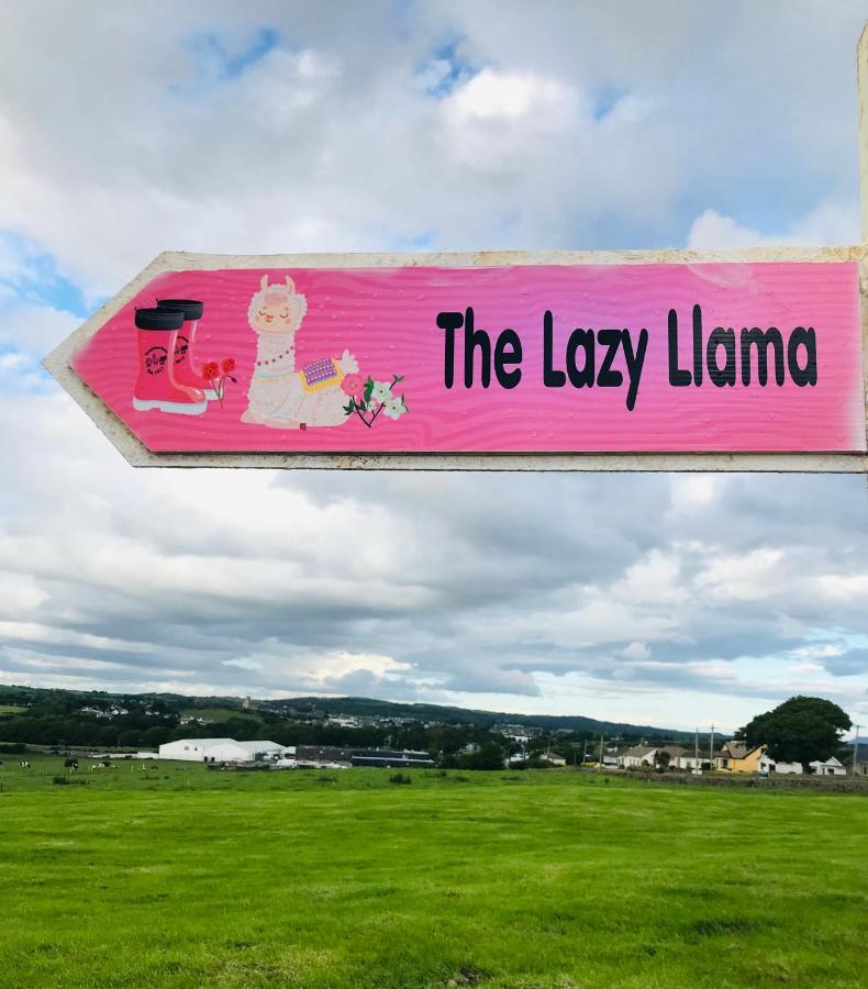 The Beautiful Lazy Llama Shepherd Hut Farm Stay Ballyshannon Buitenkant foto