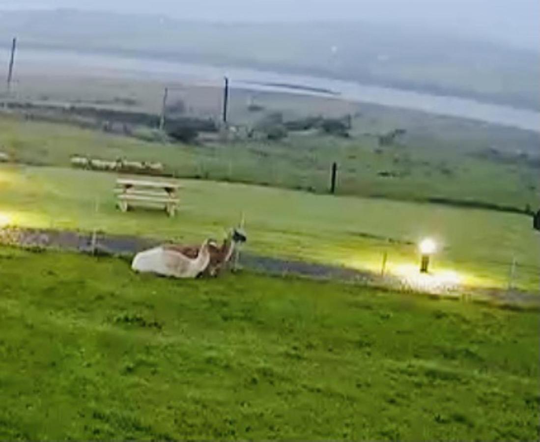 The Beautiful Lazy Llama Shepherd Hut Farm Stay Ballyshannon Buitenkant foto