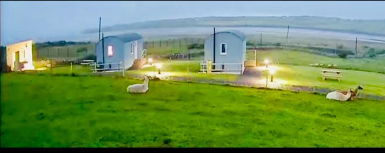 The Beautiful Lazy Llama Shepherd Hut Farm Stay Ballyshannon Buitenkant foto